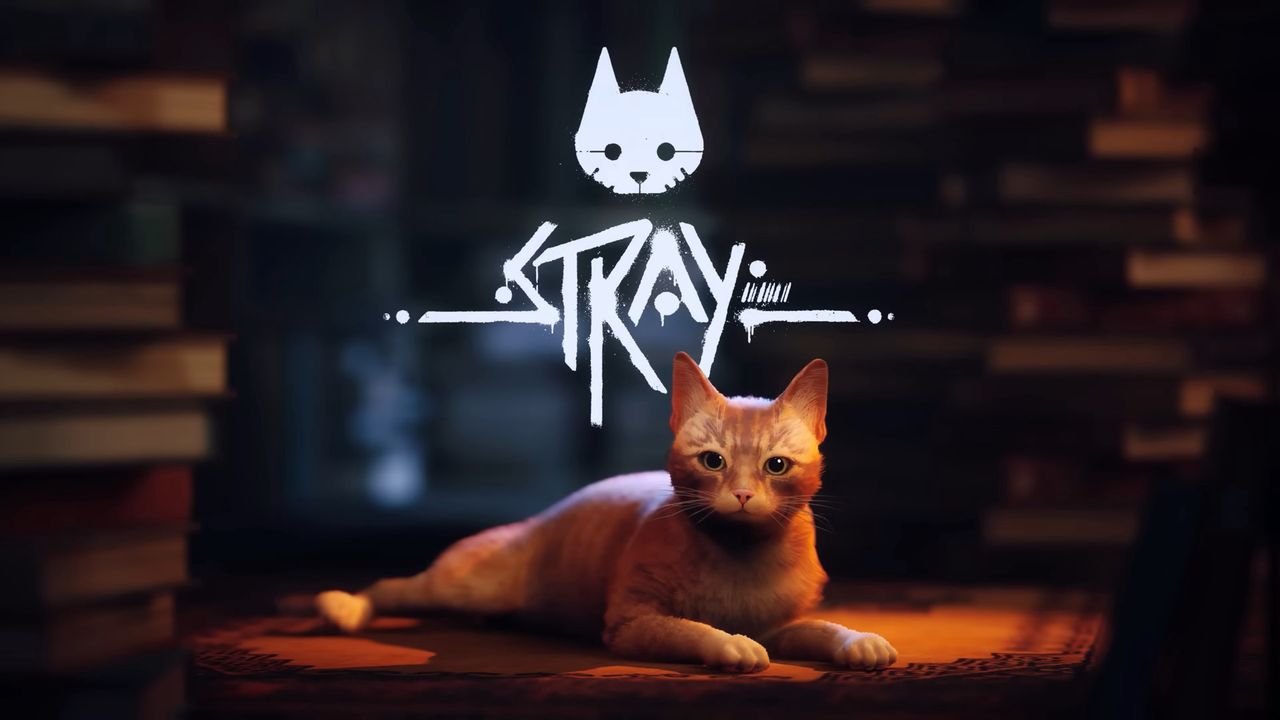 Stray otrzyma adaptację filmową. To się nazywa sukces