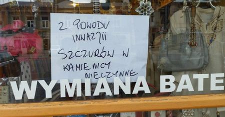 Straty idą w tysiące złotych. Zamknął sklep z powodu inwazji szczurów w kamienicy