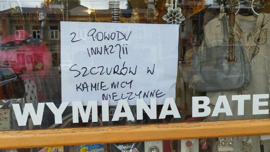 Inwazja szczurów w kamienicy zmusiła przedsiebiorcę do zamknięcia sklepu