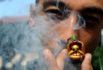 Międzynarodowy Dzień Legalizacji Marihuany