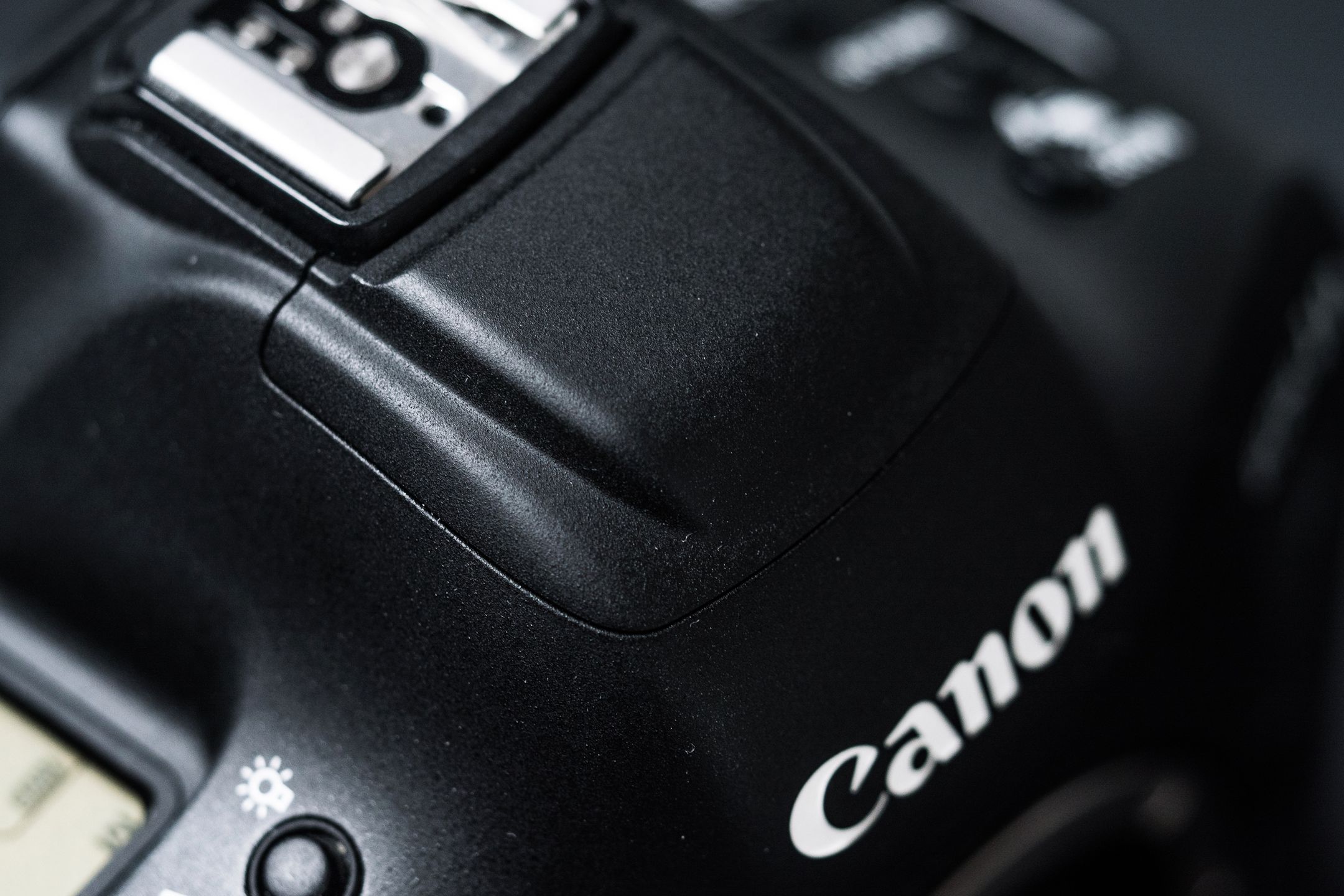 Canon EOS-1D X Mark II - test najszybszej lustrzanki na świecie 64