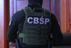 Sprowadzali auta z zagranicy i fałszowali dokumenty. Mogli oszukać nawet kilkaset osób