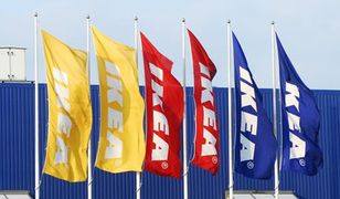 Ikea chce ulepszać życie pracowników. Będzie dawać płatne urlopy świeżo upieczonym rodzicom