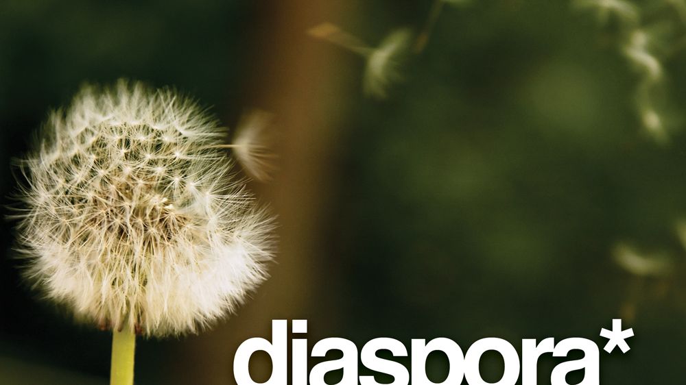 Powstaje nowy, bezpieczny Facebook: Diaspora 1