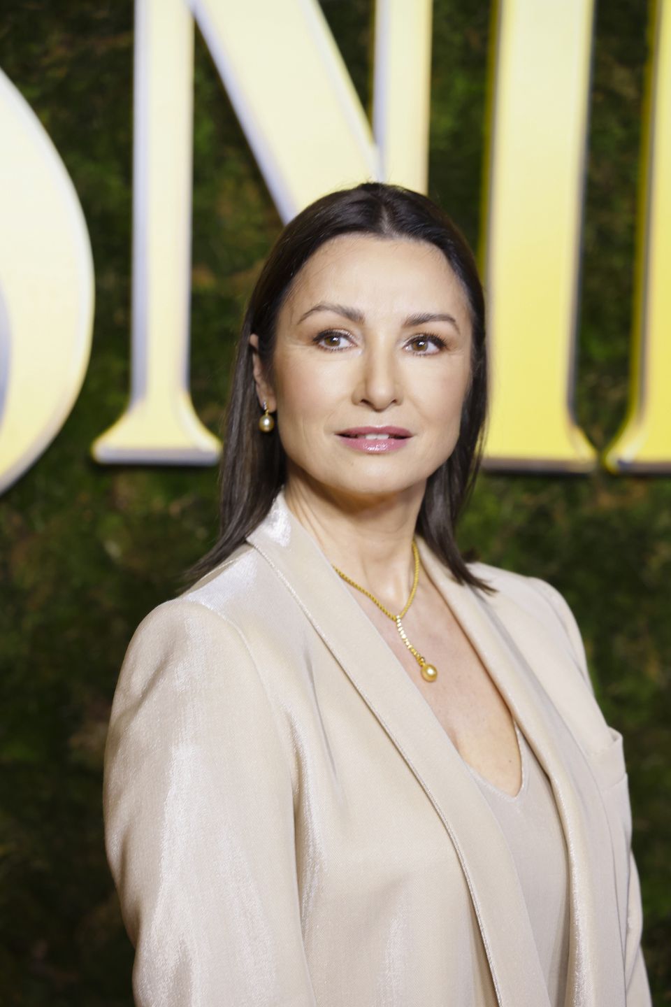 Joanna Brodzik na ściance