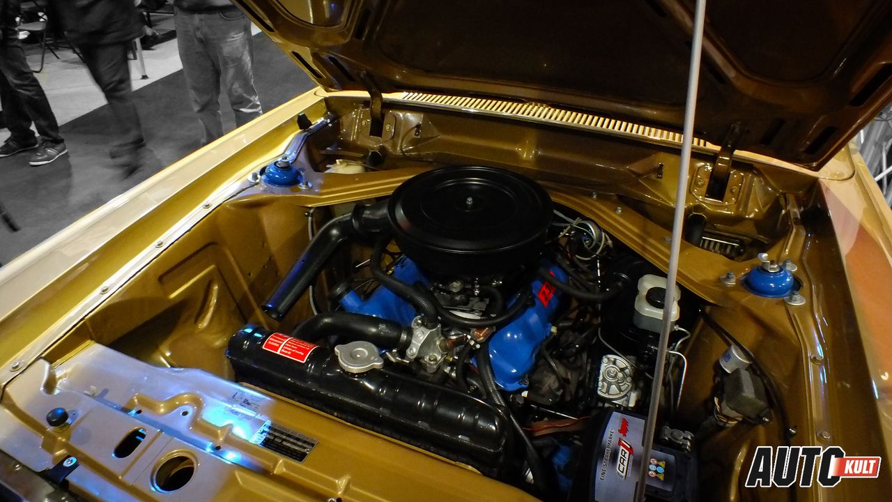 Ford Granada - silnik