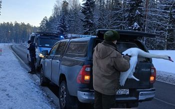 Pomylił drogę z rzeką. Akcja pod Olsztynem