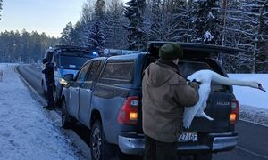 Pomylił drogę z rzeką. Akcja pod Olsztynem