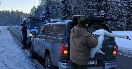 Pomylił drogę z rzeką. Akcja pod Olsztynem