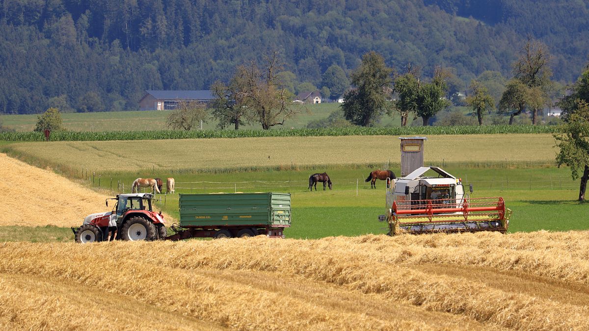 Prace na polu - zdj. ilustracyjne 