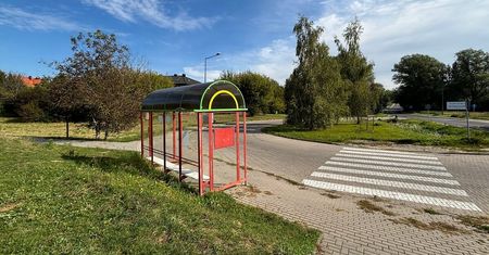 „Zielona Oaza” w Lublinie – nowe drzewa i strefa relaksu na ul. Wojciechowskiej