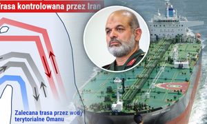 "Ani jednej kropli ropy". Dwie eksplozje tankowców w cieśninie Ormuz