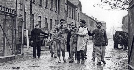 Stanisław Ryniak. Pierwszy więzień Auschwitz