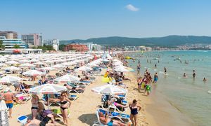 Wprowadzili euro. Powtórzyli błąd przedsiębiorców z Chorwacji