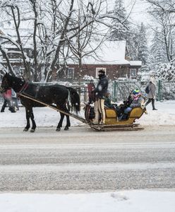 Górale mają nowy patent na wożenie turystów. "Nikogo to już nie dziwi"