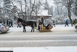 Górale mają nowy patent na wożenie turystów. "Nikogo to już nie dziwi"