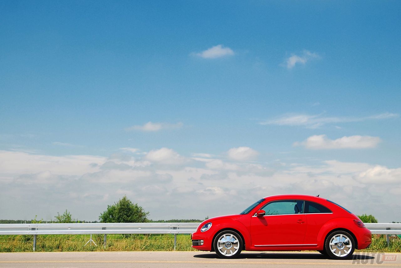 The Beetle
