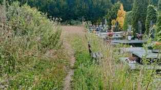 Koszalin: Mieszkańcy skarżą się na zarośnięte ścieżki na Cmentarzu Komunalnym