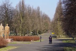 Pogoda dla Polski. Nadchodzi wyż Tim, przyniesie zimę