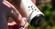 Kleszczy mniej o nawet 99 proc. Naukowcy radzą rozsypać w ogrodzie
