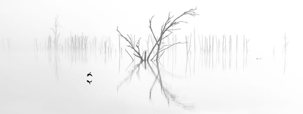 "Incoming" Zwycięzca w kat. Amateur Nature / Landscape, zdjęcie zostało wykonane w Windamere w Nowej Południowej Walii w Australii.