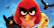 Angry Birds Film