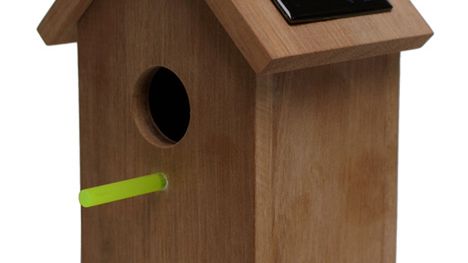 Domek dla ptaków XXI wieku 1