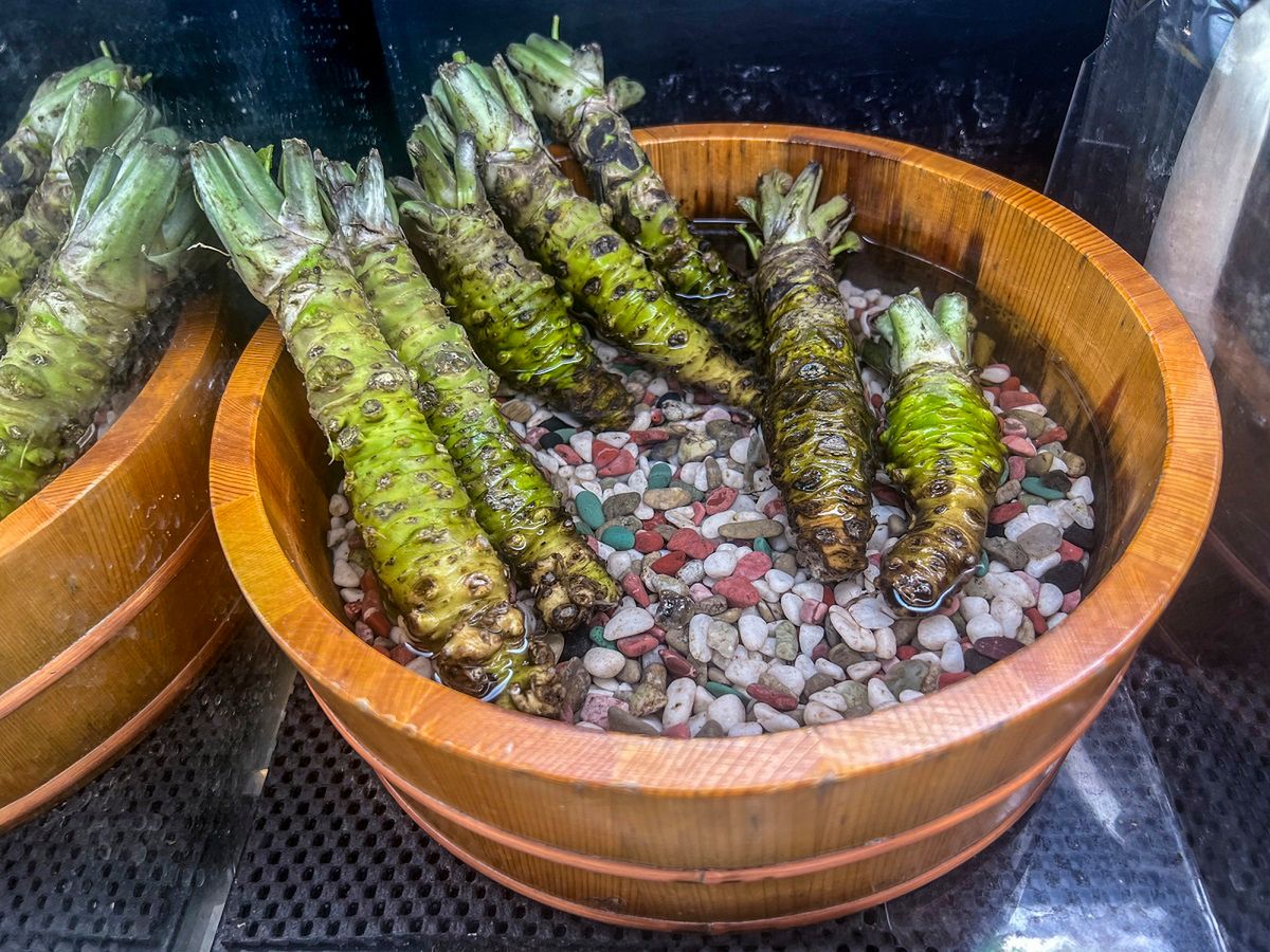 Najdroższa roślina na świecie rośnie w Polsce. Tyle kosztuje kilogram