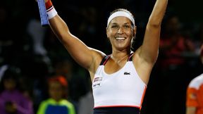 Brylowała w konkursie piękności. Kuszące zdjęcia Dominiki Cibulkovej