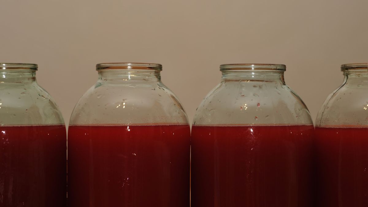 Red wine from the berries of Viburnum
Guelder-rose juice in a glass jar. Red liquid
xlibes
european, rose, nutrition, wooden, tasty, preserve, closeup, orange, natural, fresh, healthy, background, sweet, glass
