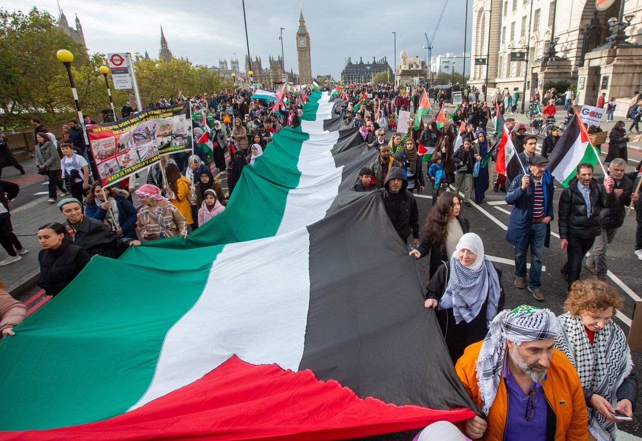 Propalestyńskie protesty. Żądają zawieszenia broni