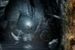 ''Hobbit: Niezwykła podróż'': Wyjątkowy baner na Comic Con 2012