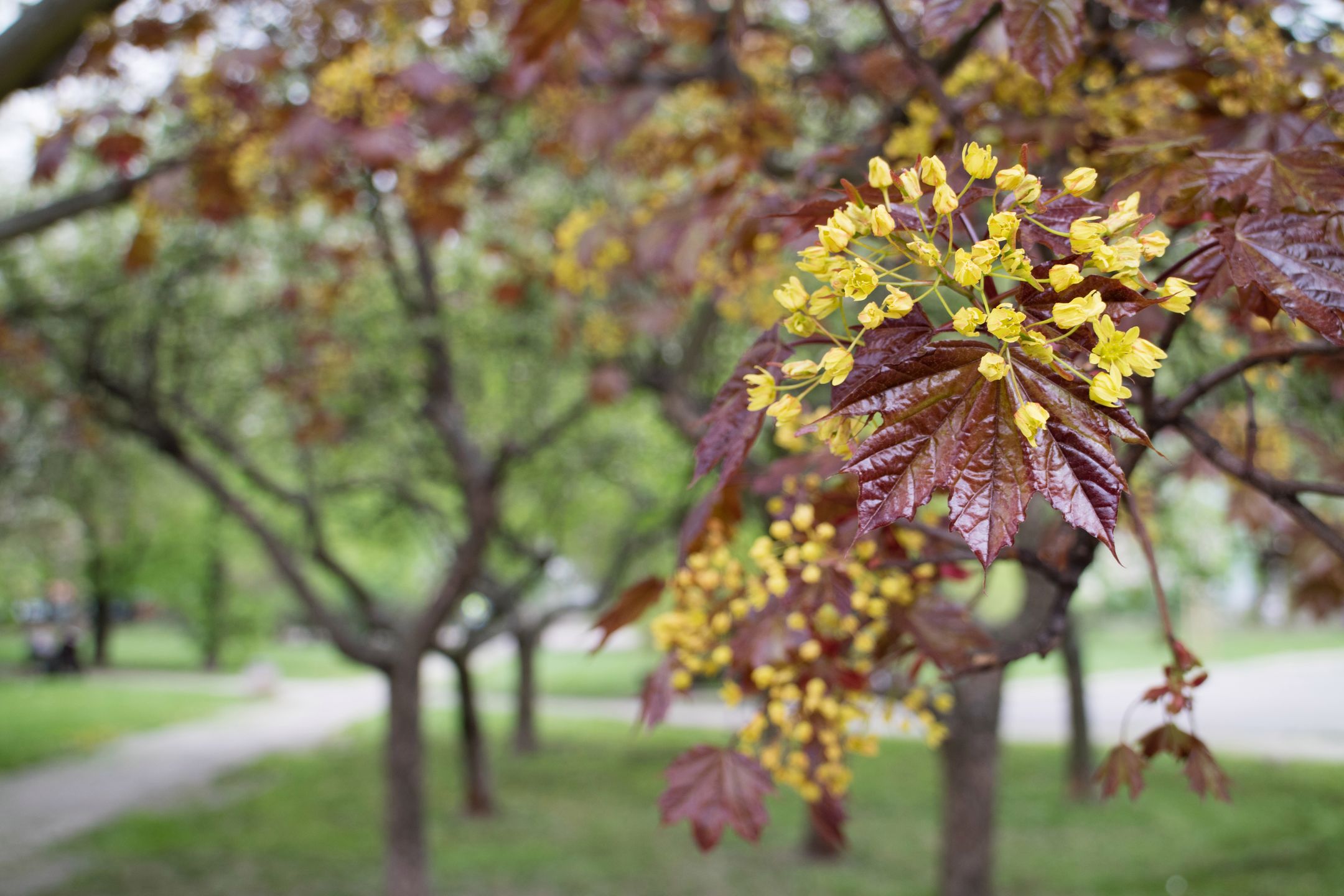 Canon EOS M3 - bezlusterkowiec z tradycjami lustrzanek [test] 54