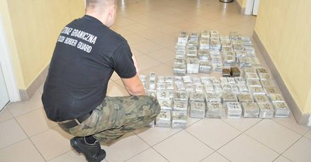 Haszysz o wartości prawie 3 mln zł nie przekroczył granicy. Pomógł pies Bolo