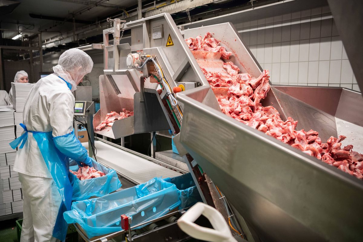 Czechy. Wycofają z obrotu 17,5 tony polskiego mięsa. Zawiera antybiotyki 