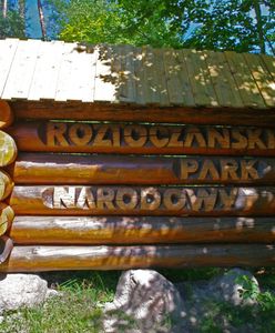 Dyrektor Roztoczańskiego Parku Narodowego odwołany. Mężczyzna nie kryje zdziwienia