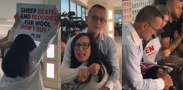 Modowy guru OBEZWŁADNIŁ aktywistkę i zakrywał jej usta. Internauci murem za protestującą: "To była NAPAŚĆ, czas na pozew!" (WIDEO)