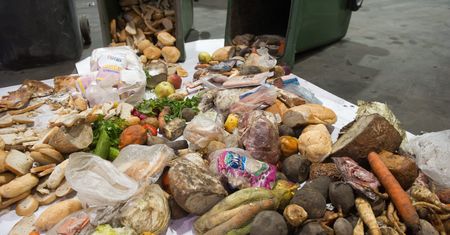 Żywność marnujemy na potęgę. W polskich śmietnikach co minutę ląduje 6 ton jedzenia