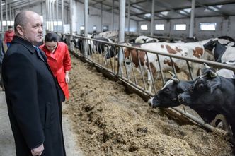 Wybory 2015. "PiS interesuje się rolnictwem tylko w kampanii wyborczej"