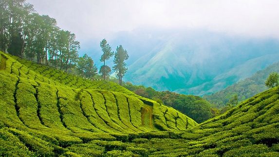 Piękna sztuka przyrządzania herbaty - zestaw Chai Set 1