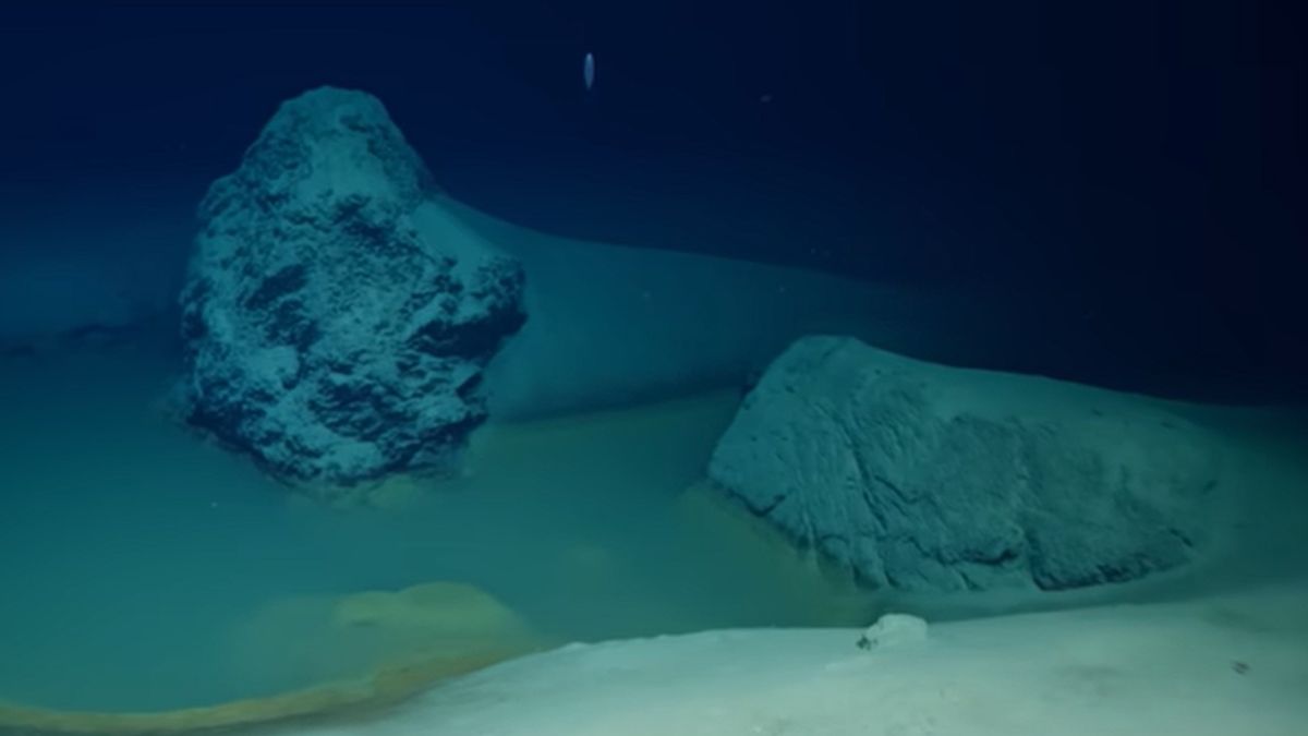 Tajemnicze odkrycie na dnie morza