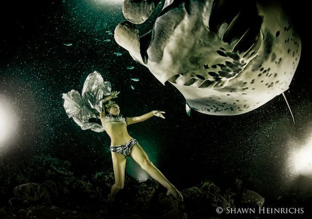 © Kristian Schmidt, Shawn Heinrichs