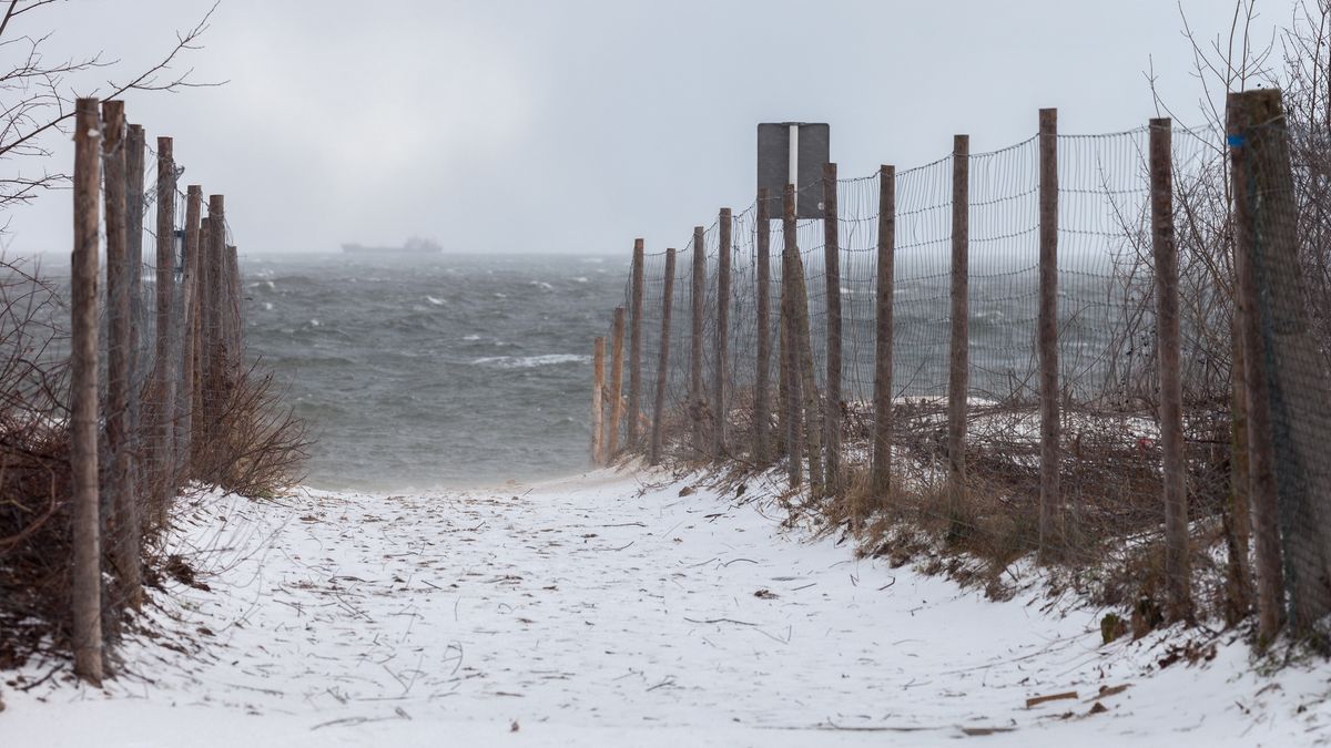Beach in a blizzardEntrance to the beach in a winter storm day during a violent blizzard.nightman1965Dramatic Sky, Cloudscape, Snowing, Seascape, Coastline, Weather, Gdansk, White, Gray, Nature, Baltic Countries, Winter, Season, Beach, Bay Of Water, Landscape, Cloud - Sky, Sky, Wind, Sea, Snow, Flood, Wave, Water, Blizzard, Storm, Fence, Gate, Nautical Vessel, sopot, Entrance