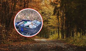 "Komentarz zbędny". Walizka leżała w lesie. Oto jej zawartość