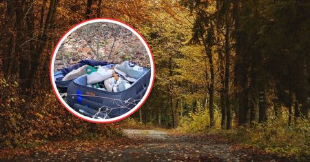 "Komentarz zbędny". Walizka leżała w lesie. Oto jej zawartość