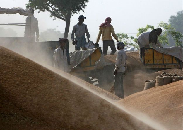 Plaga samobójstw wśród rolników w Indiach. Od stu lat państwo nie potrafi zaradzić masowym tragediom