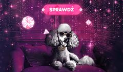 Pudelek zachęca do zakładania kont. Niespodzianki dla czytelników