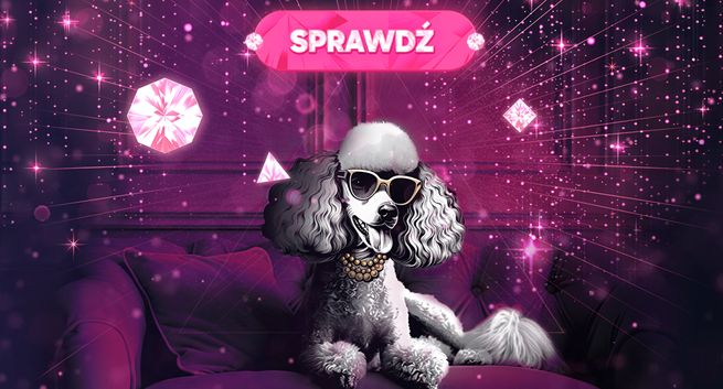 Pudelek zachęca do zakładania kont. Niespodzianki dla czytelników