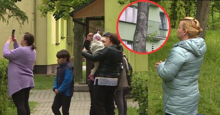 Ani Matka Boska, ani Jezus Chrystus. Wiemy, co się "objawiło" w Parczewie