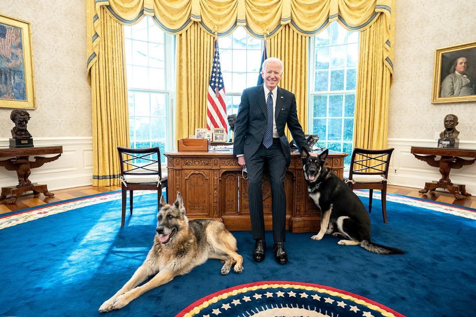 Pies Bidena pogryzł funkcjonariusza. Behawiorysta: "po prostu się bał", fot. Official White House Photo by Adam Schultz